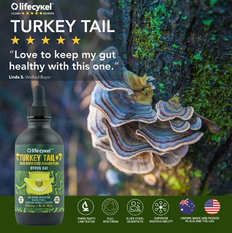 Life Cykel Turkey Tail Mushroom | Double Extract