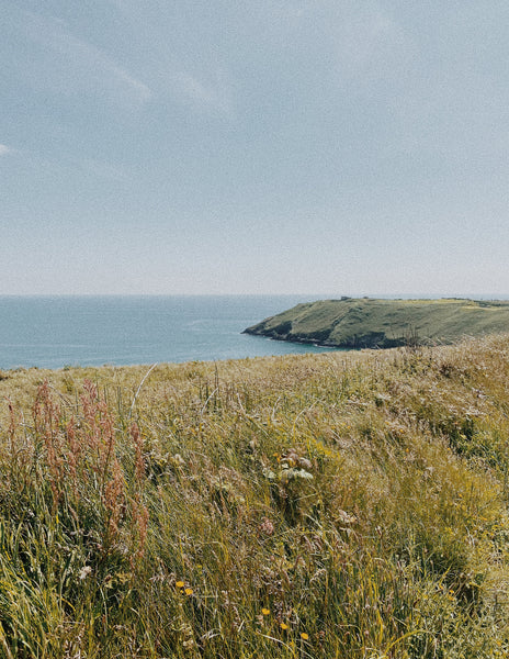 An image portraying the Kerry coastline in Ireland.