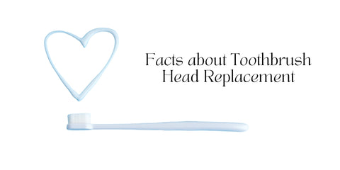 Facts about Toothbrush Head Replacement