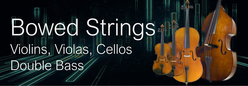 Bowed String Instruments Violin Viola Cello and Double Bass