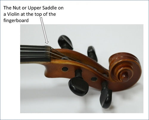 The Nut or Upper Saddle on a Violin