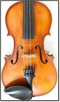 Top-plate of a violin