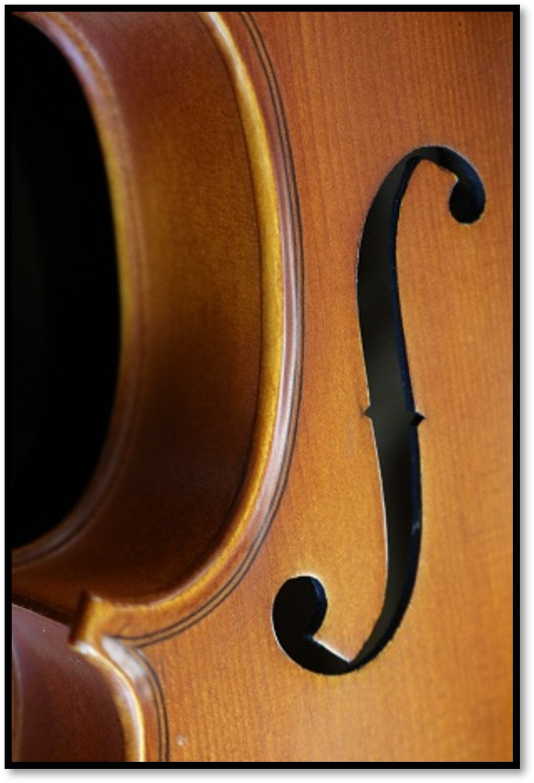 What are the F Holes for on a violin