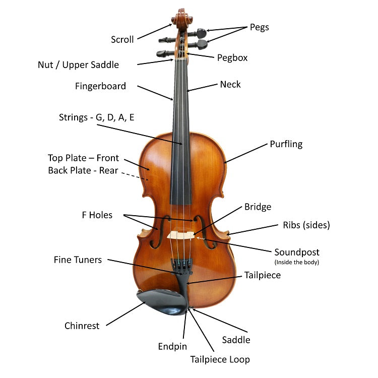 What are the parts of a violin and where are they on the instrument