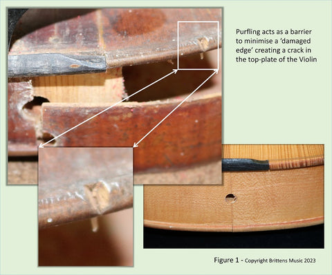 This image shows how purfling can help stop damage to the edge of the top plate becoming a split spreading further into the top-plate