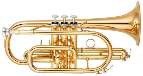 Choosing your first brass instrument 