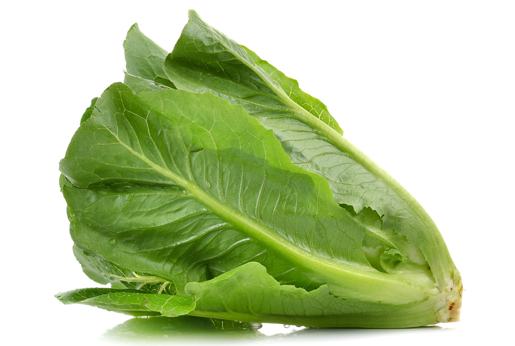 Image of Romaine lettuce