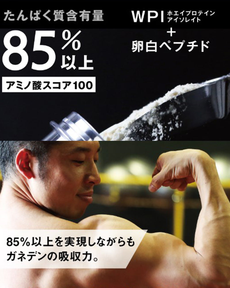 ザ・プロテイン THE PROTEIN リッチバニラ風味600g