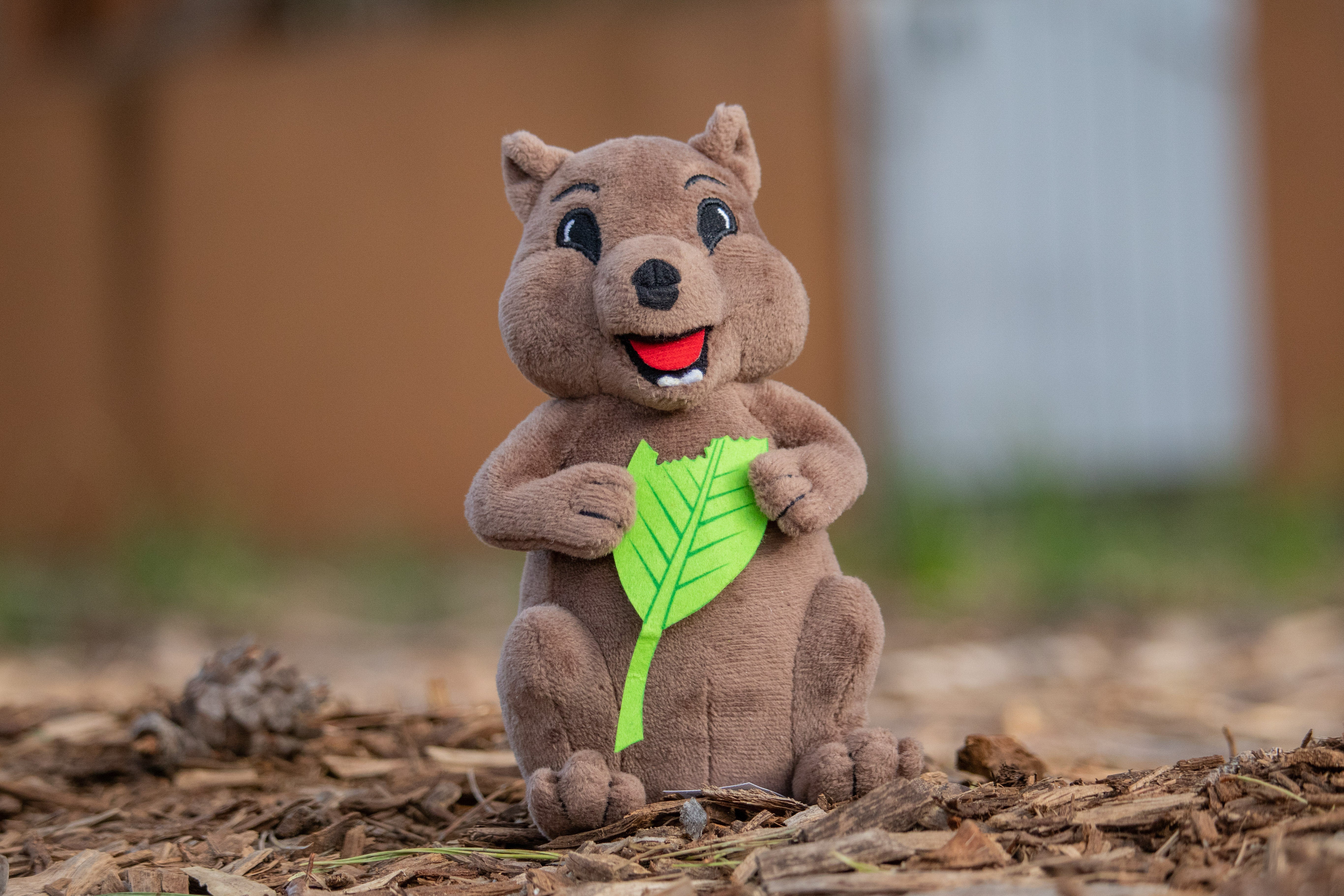 stuffed quokka plush