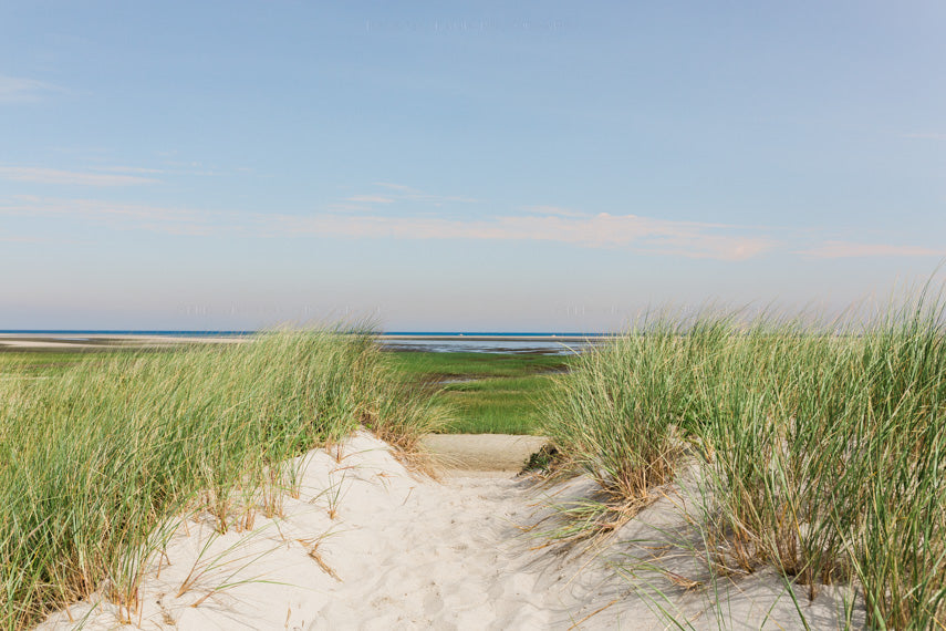 Cape Cod Beach Photography Print as Wall Art