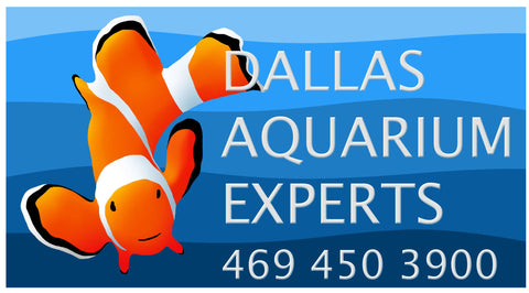 Dallas Aquarium Experts Online Store Logo