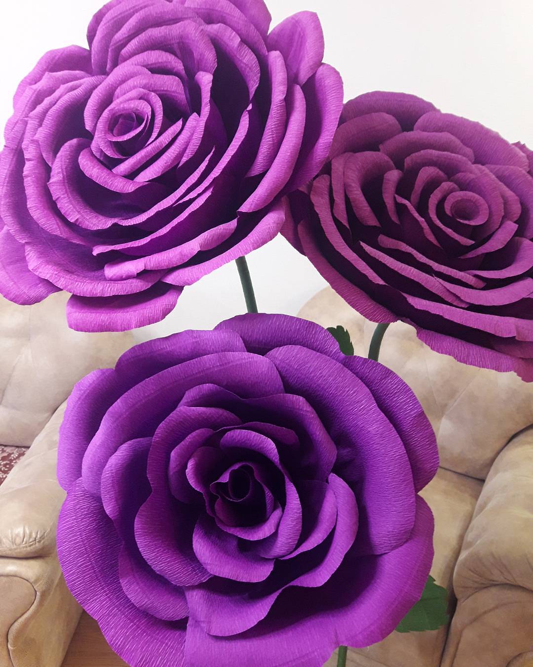 Download Large Paper Flower Decor Giant Paper Flower