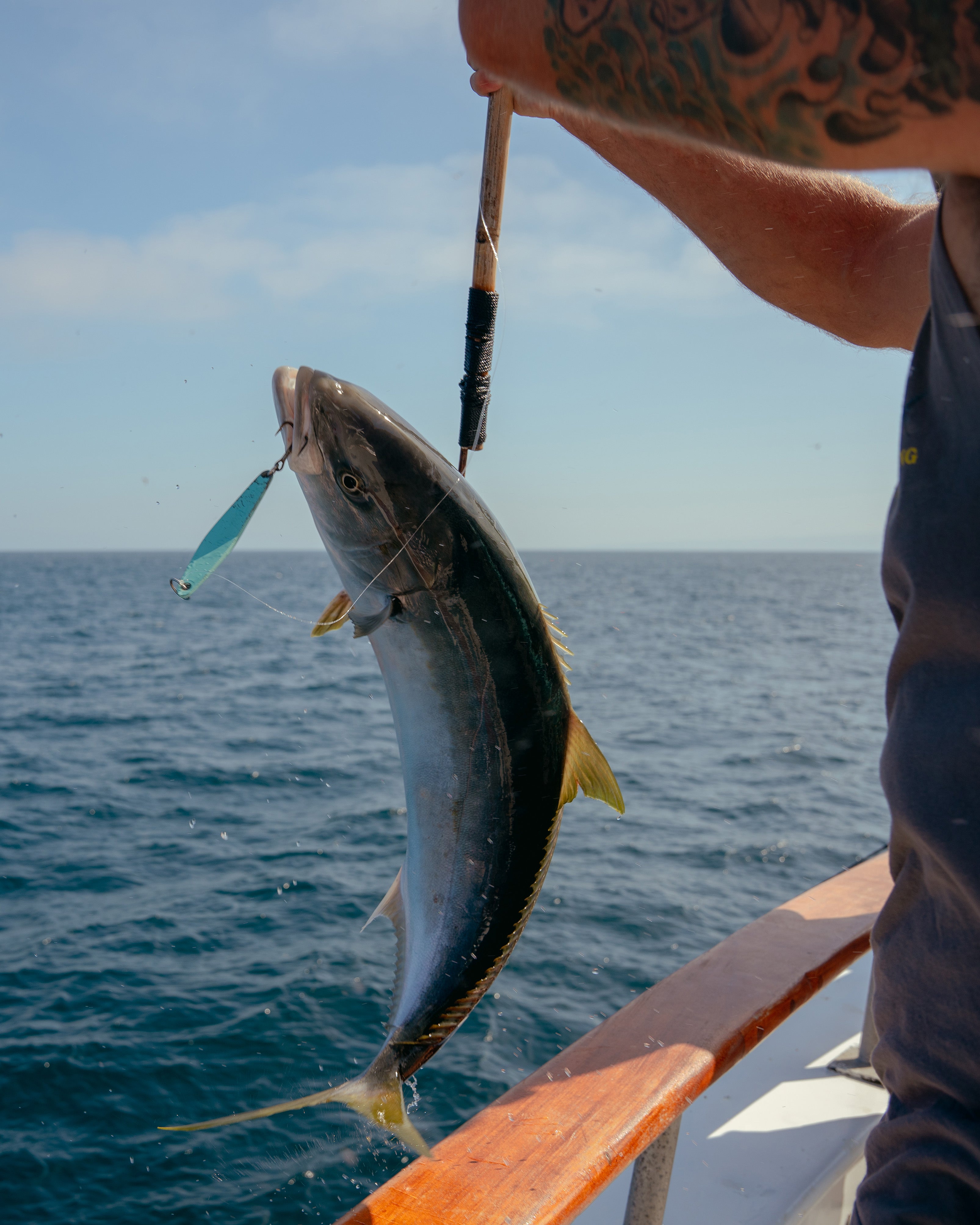 Dan Wade Surface Iron Seminar at Tackle Day 2020 – Strictly Irons