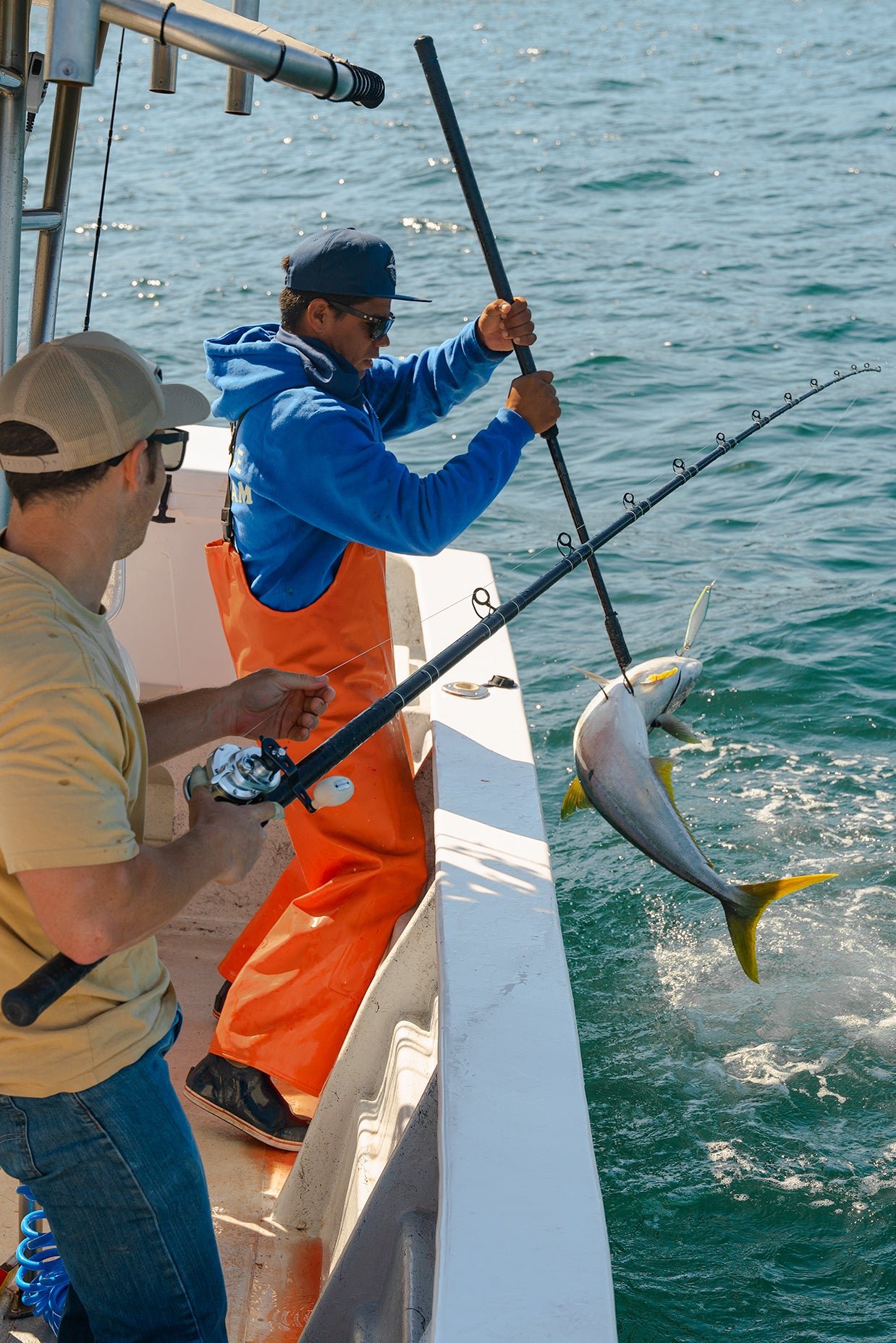 Yellowtail Tackle Recommendations - Yellowtail Fishing Setup