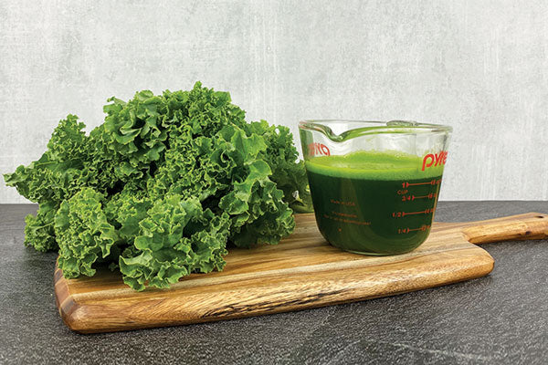 One bunch of kale next to a measuring cup filled with one cup of kale juice.