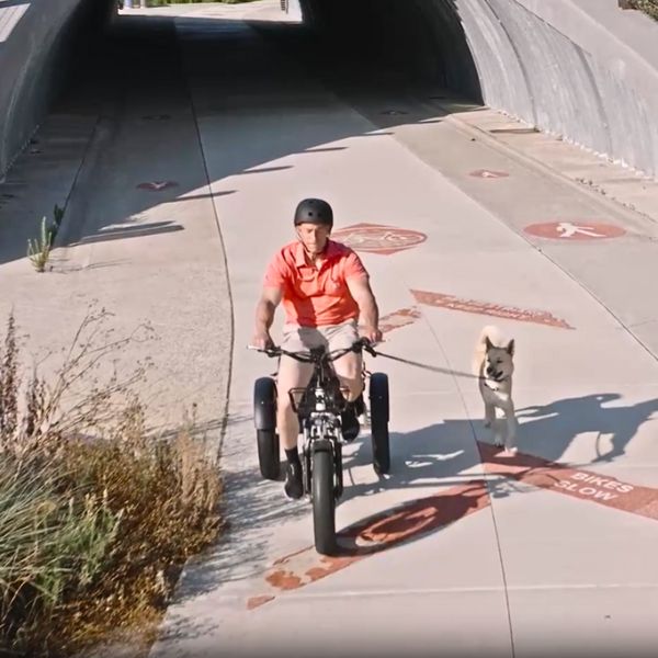 Man riding in the DWMEIGI Zeus electric trike with his dog running alongside.