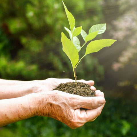 Man planting a plant for every sale of Go Bikes