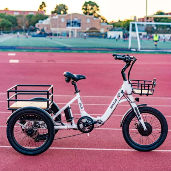 color white emojo bison S e-trike