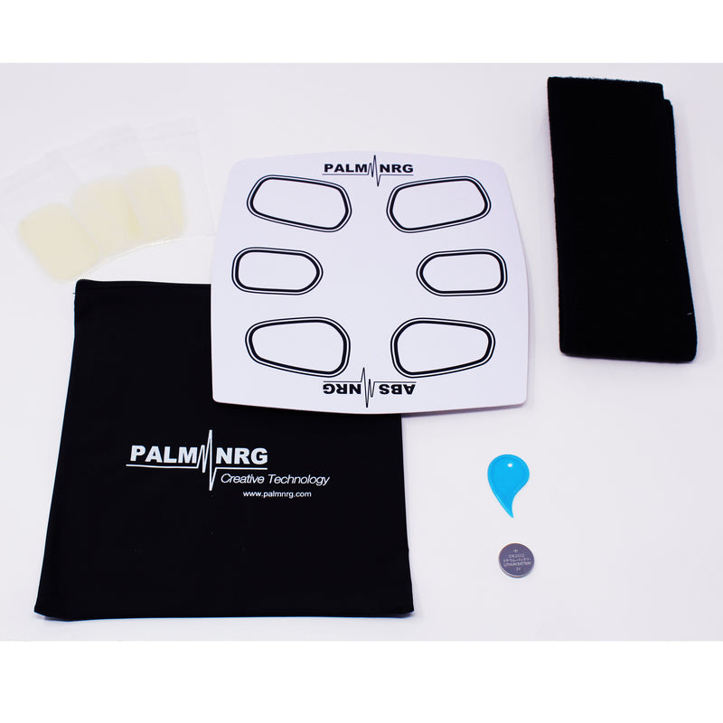 Palm NRG 6 Pack Training Revolution Brookstone