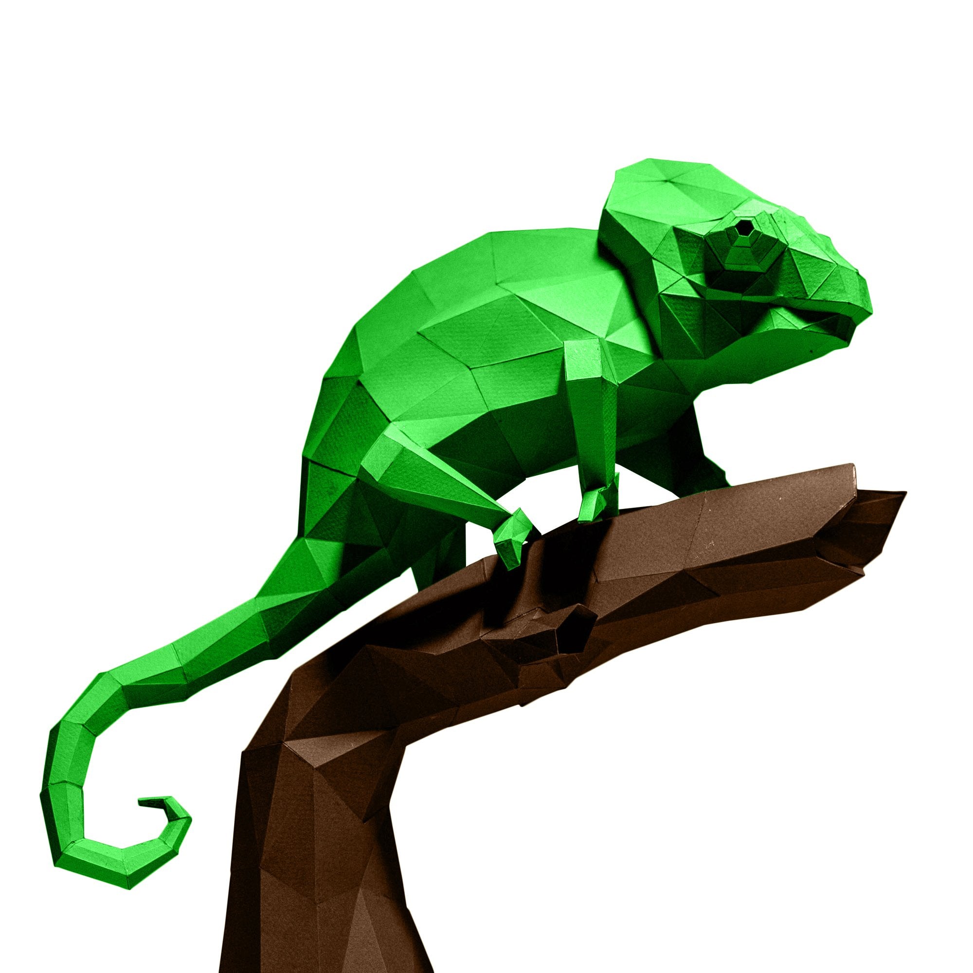 chameleon eunnimg firefox onwi dows 8.1