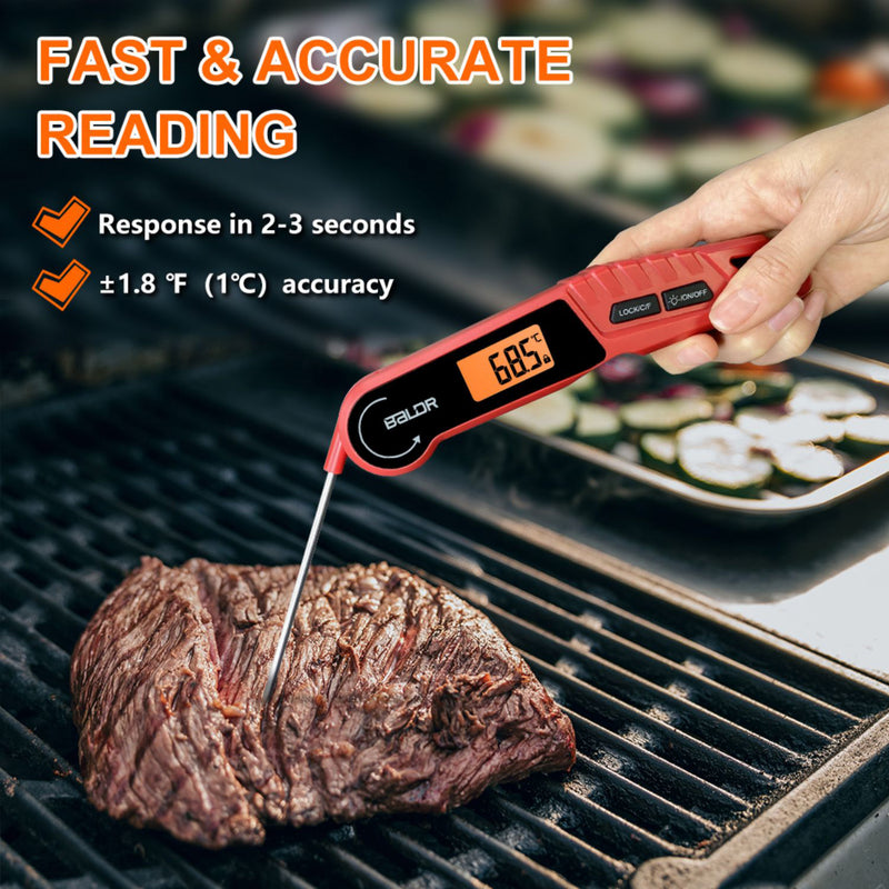 Brookstone Chef's Fork w/ Digital Thermometer Doneness Levels for all Meat  Types