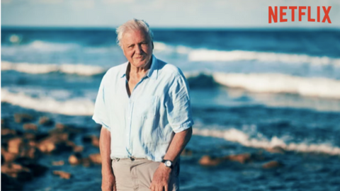 David Attenborough A Life On Our Planet