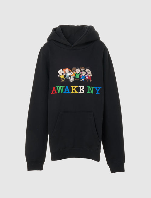 Awake NY x Wasted Youth Hoodie XL size 44%OFF mandevillediocese.org