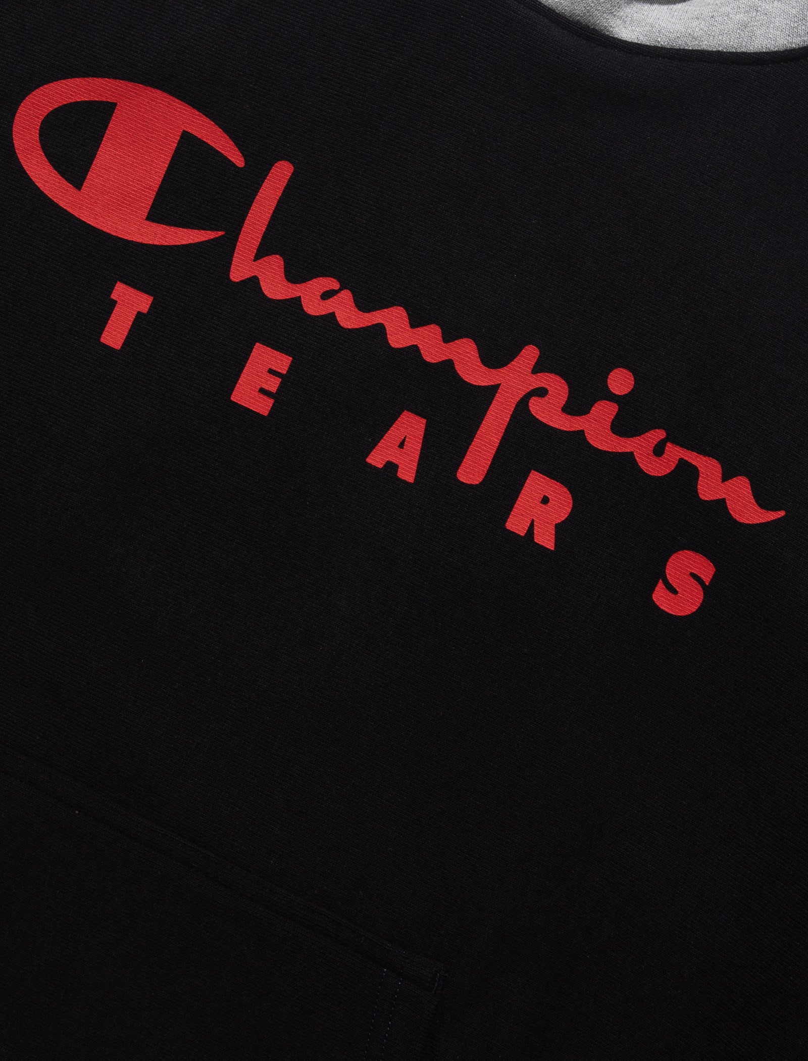 DENIM TEARS x CHAMPION HOODED SWEATSHIRT