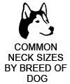 common neck sizes