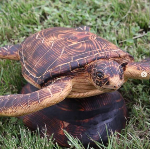 Josiah Waters turtle carving