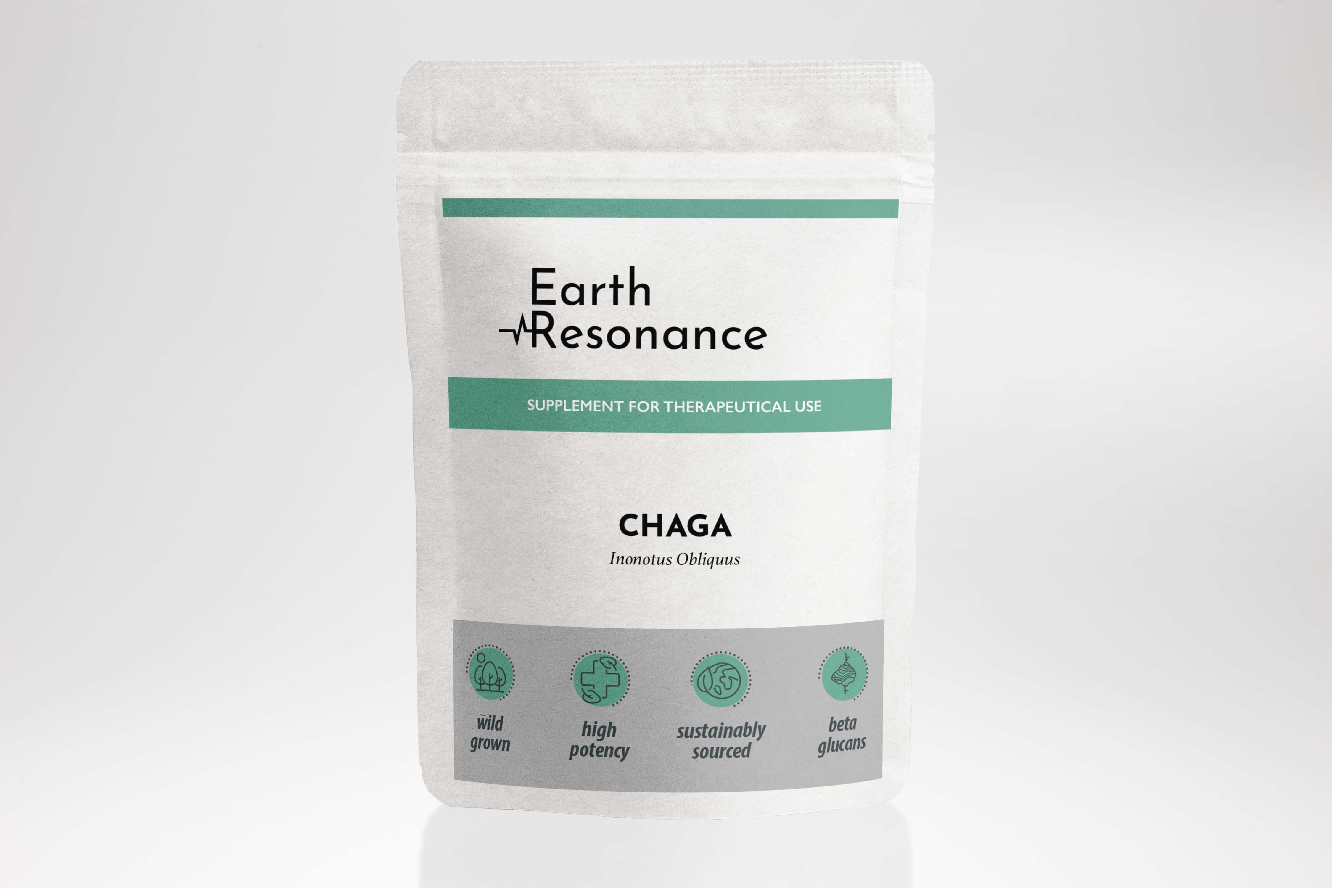 Chaga Paddenstoel - Earth Resonance product image