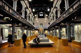 Hunterian Museum and Art Gallery