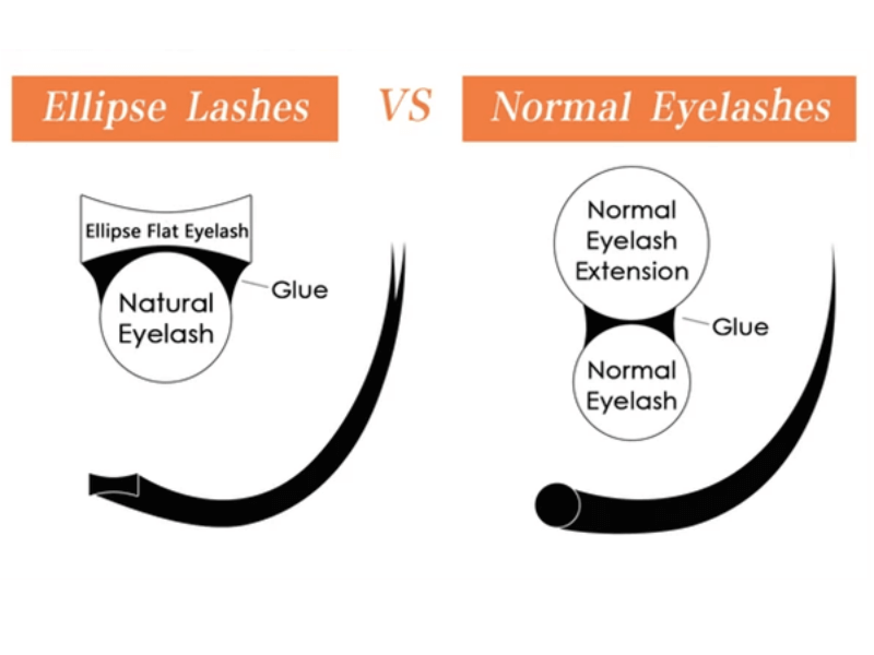 Ellipse flat lashes vs Normal eyelashes