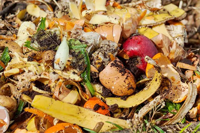 diferencia entre compost y vermicompost