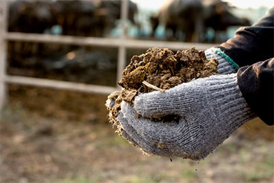 cómo almacenar compost