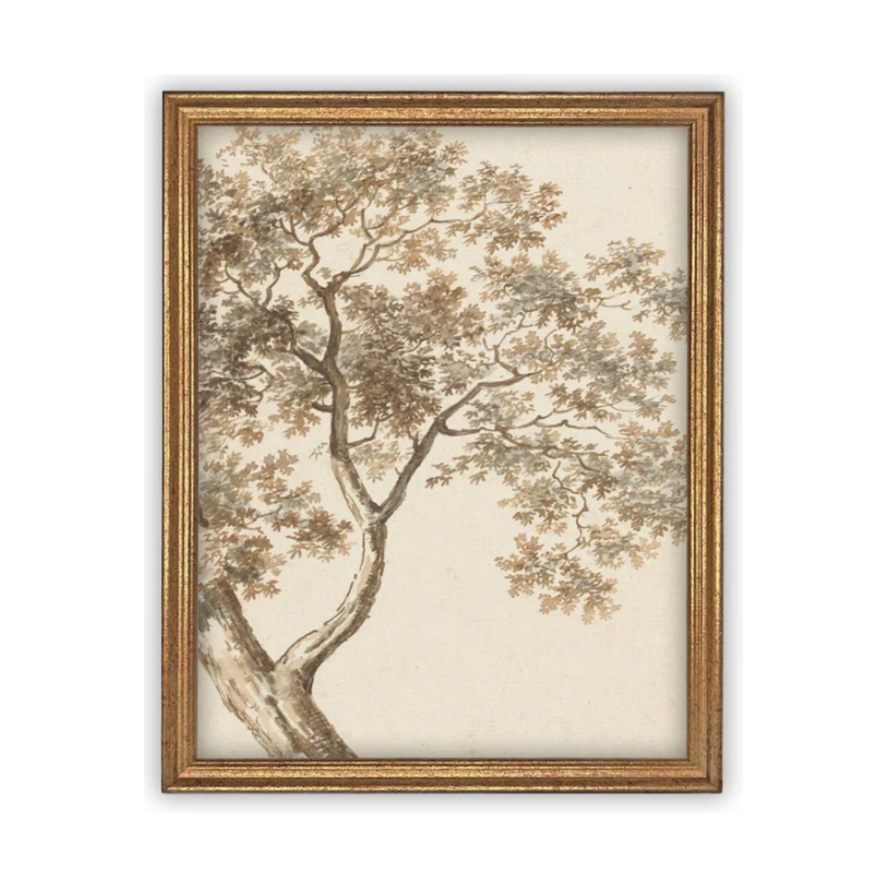11" x 14" Framed Canvas Tree Top Art