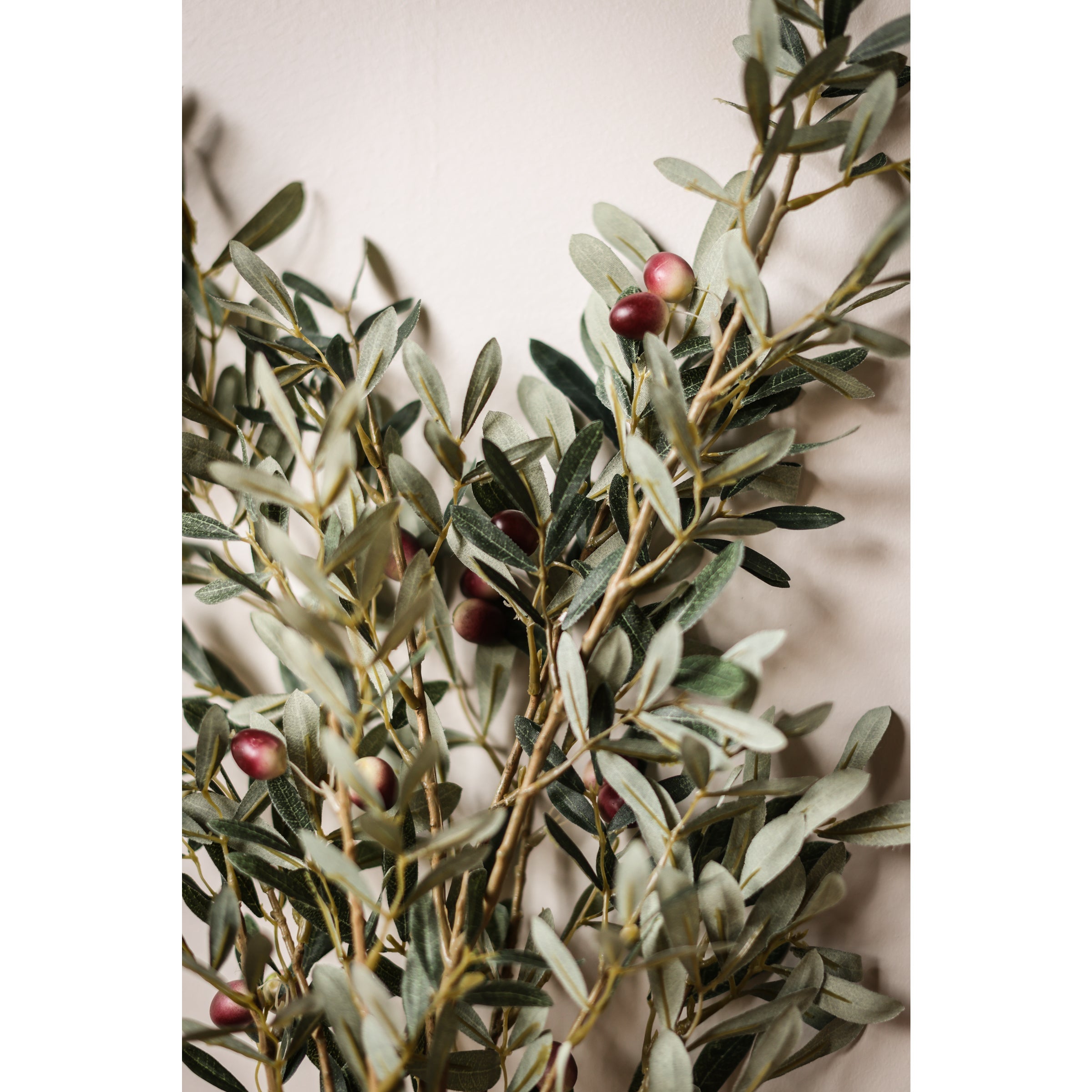 Olive Branches With Olives 43
