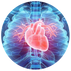 CARDIOVASCULAR SUPPORT.png__PID:0a6a6801-8569-4973-b049-5072c76184a3