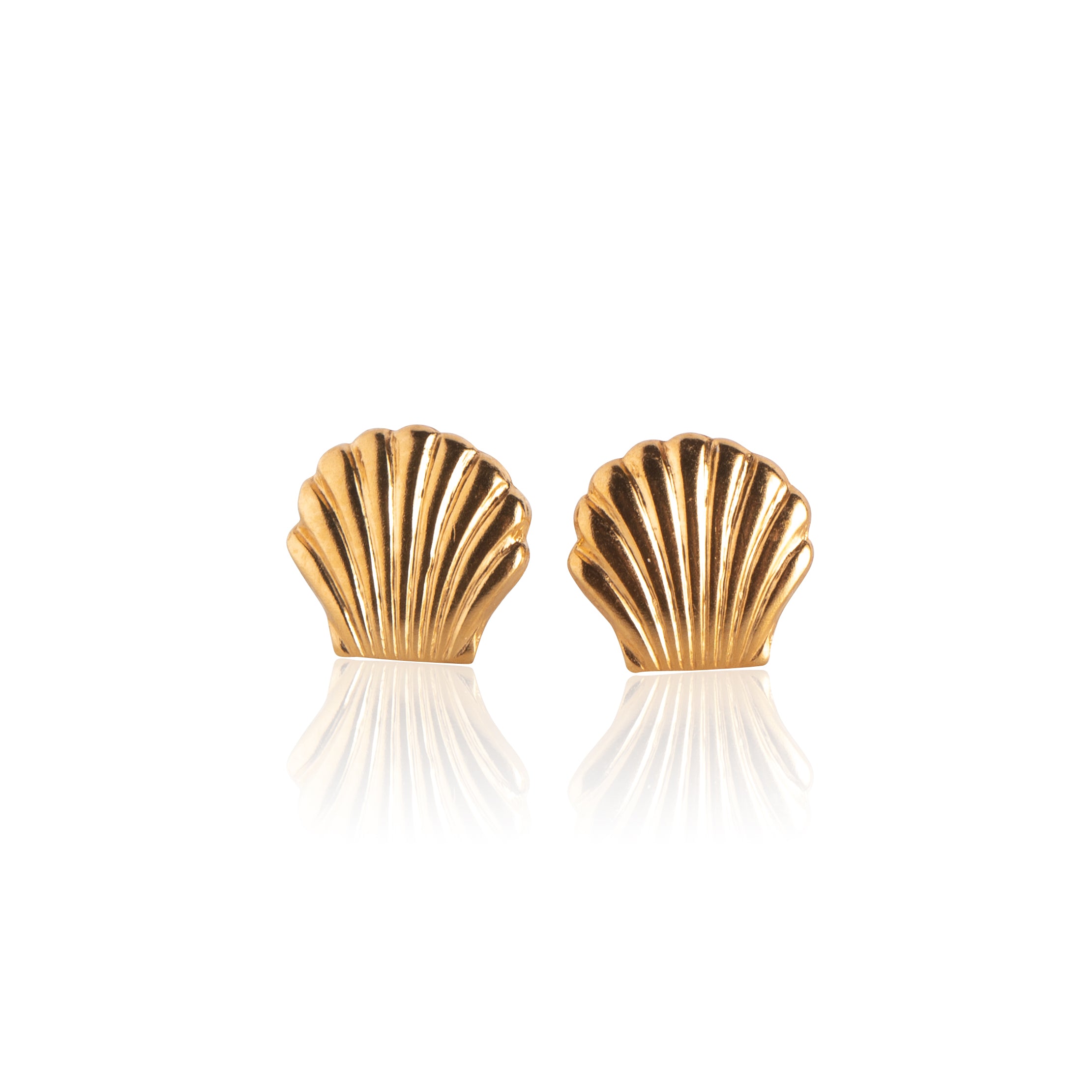 Gold Small Sea Shell Stud Earrings
