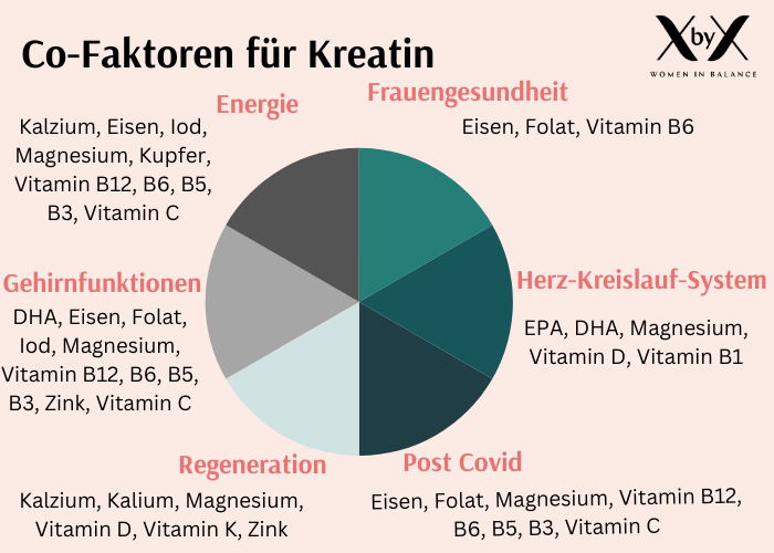 Co-Faktoren von Kreatin