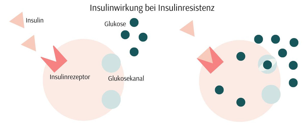 Insulinresistenz erschwert Abnehmen in den Wechseljahren