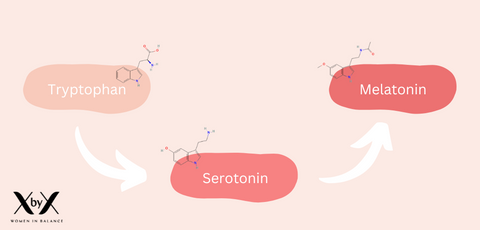 Melatonin Teil des Tryptophanstoffwechsels