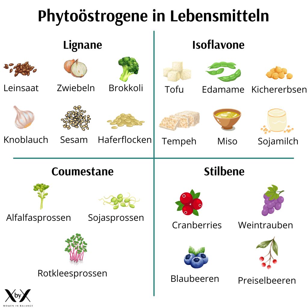 Phytoöstrogene Lebensmittel