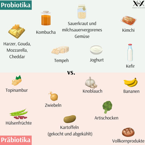 Präbiotika und Probiotika