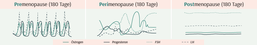 Hormone in der Perimenopause