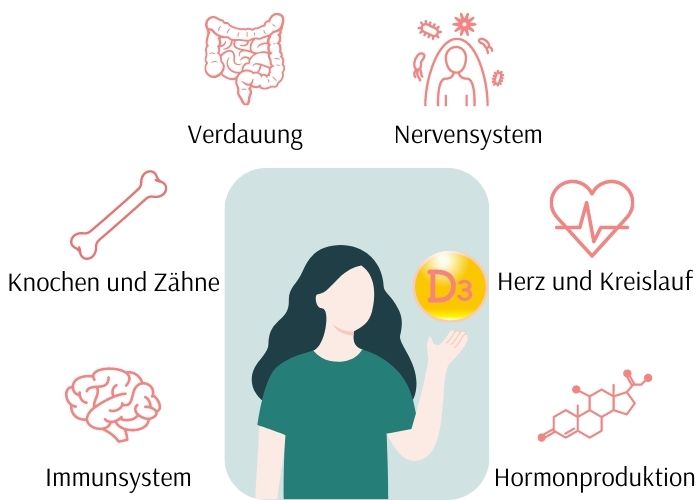 Vitamin D Wirkung