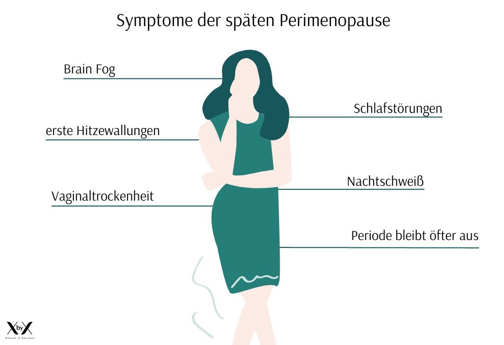 Symptome Wechseljahre späte Perimenopause