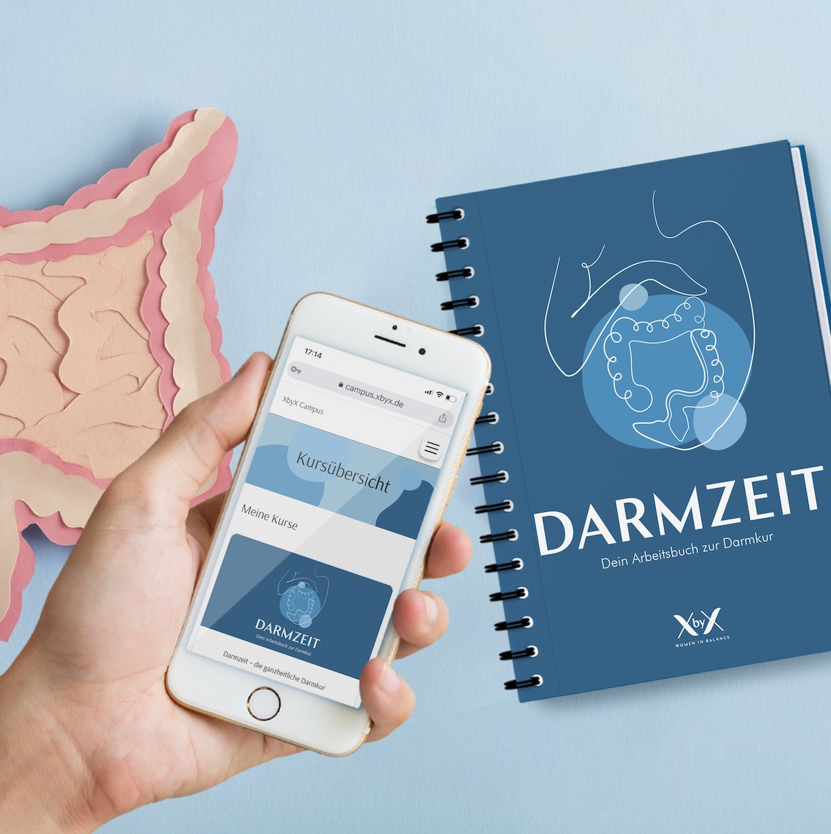 darmzeit_mockup.jpg__PID:ec6d7b1d-a9d5-46f4-a91f-f1294b664526