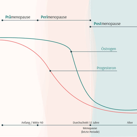 oestrogen-progesteron-hormone-wechseljahre-perimenopause-sinken