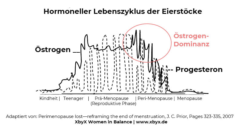 Progesteronmangel in den Wechseljahren